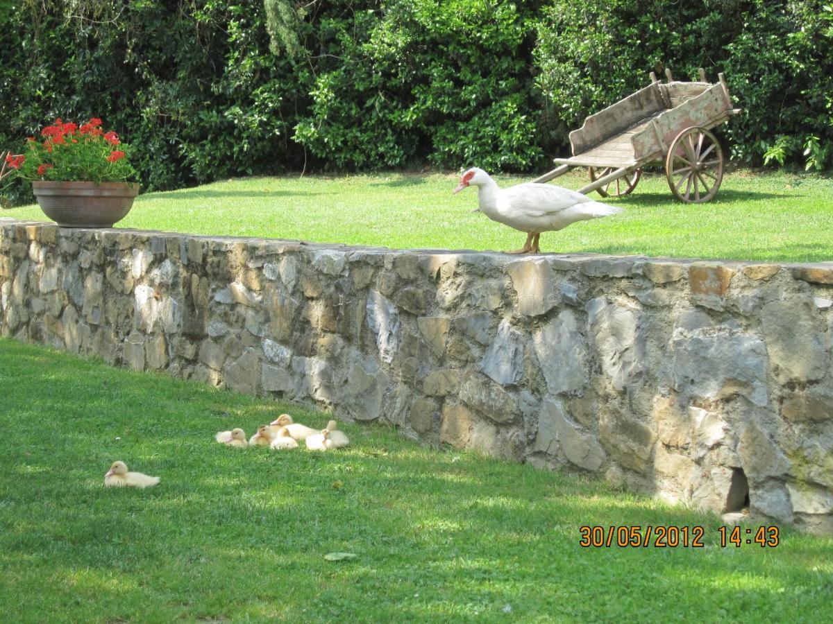 Agriturismo Conca Verde Scandicci Exterior foto